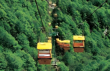 Export-oriented Customized Fixed-grip Cableways